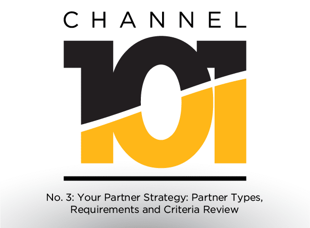 Your Partner Strategy: Partner Types, Requirements and Criteria Review